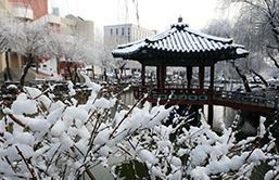 인하대 겨울 사진
